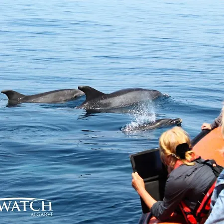 By The River Ferragudo (Faro)