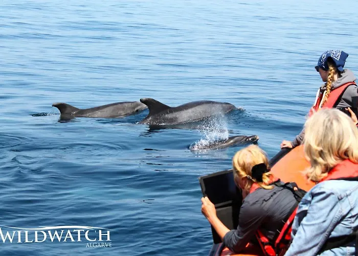 By The River Ferragudo (Faro)